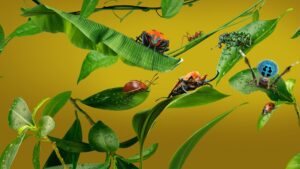 A REAL BUG’S LIFE – 1. Sezon 1. Bölüm Izle
