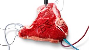 BLOOD FREE – 1. Sezon 10. Bölüm Izle