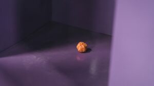 CHICKEN NUGGET – 1. Sezon 4. Bölüm Izle