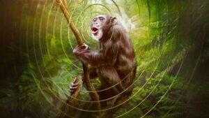 EARTHSOUNDS – 1. Sezon 10. Bölüm Izle