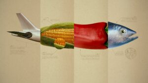 OMNIVORE – 1. Sezon 8. Bölüm Izle