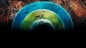 OUR LIVING WORLD – 1. Sezon 3. Bölüm Izle